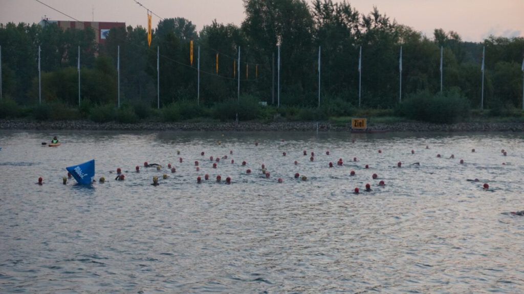 2017 Cologne226 Schwimmstart